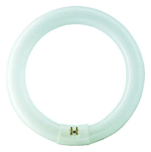 Osram Leuchtstofflampe L 32 Watt 865 Tageslicht C Tageslicht T8 G10Q circular 26mm Tube